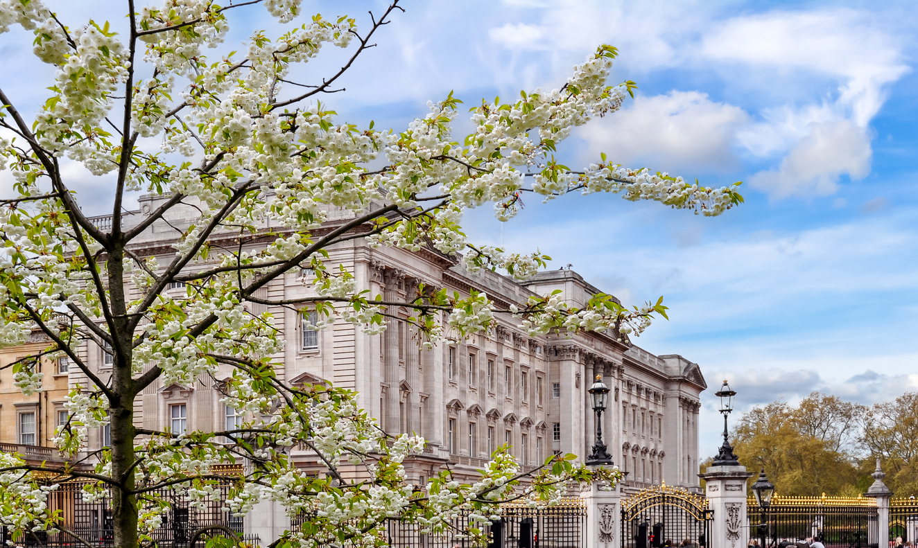 Central London Property Market Enjoys a Spring Boost image 1