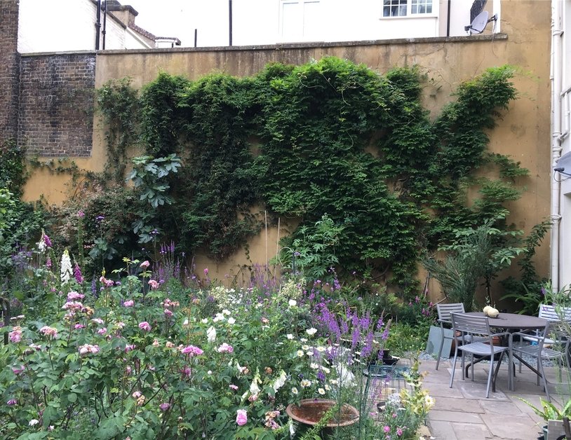 Three Private Garden Ideas For an Inspirational Outdoor Space 7