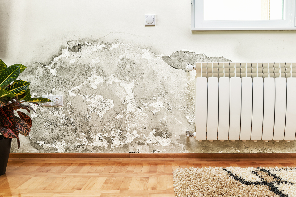 Deposit Dispute? Illegal Eviction? Our Guide To Dealing With Difficult Landlords