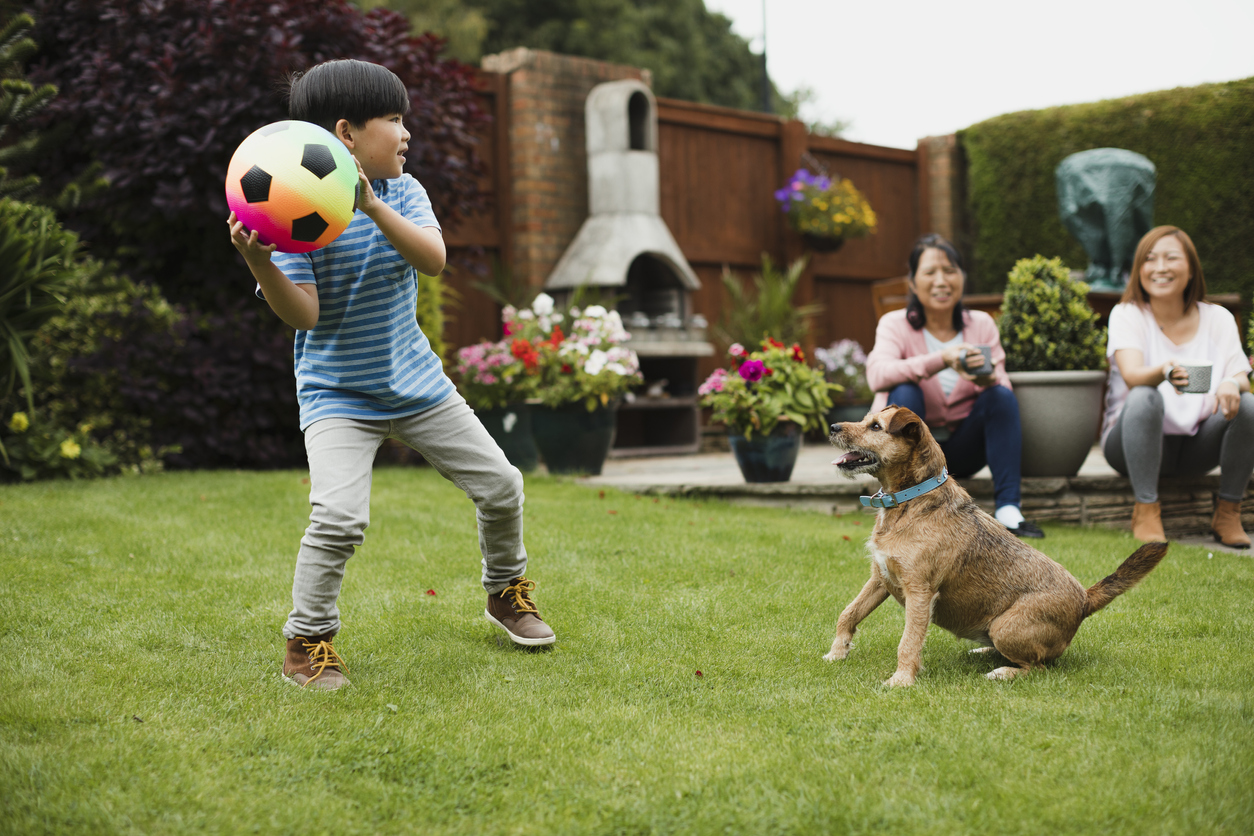 Why Finding A Pet-friendly Rental Just Got Easier